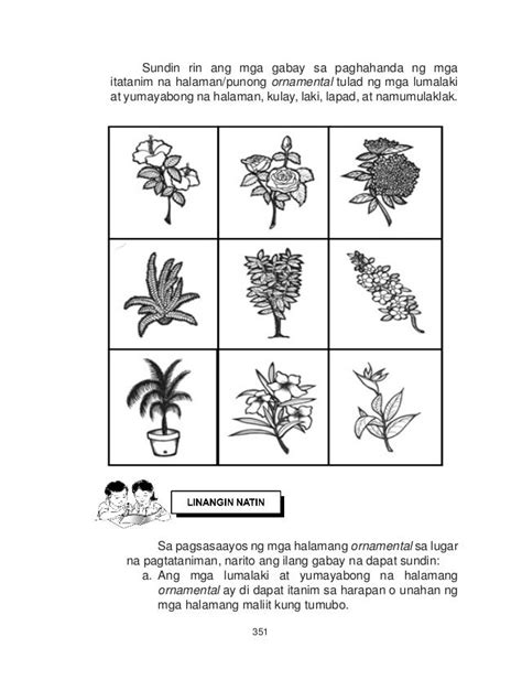 halamang namumunga drawing|Halamang ornamental interactive worksheet .